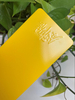Revestimiento en polvo electrostático de oro rosa Ral 8025 para polvos de revestimiento de superficies metálicas pintura en polvo avanzada