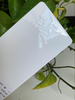 Revestimiento en polvo electrostático de oro rosa Ral 8025 para polvos de revestimiento de superficies metálicas pintura en polvo avanzada