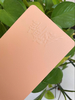 Colores Ral personalizados y capa de polvo electrostático metálico Pantone para productos de acero metálico